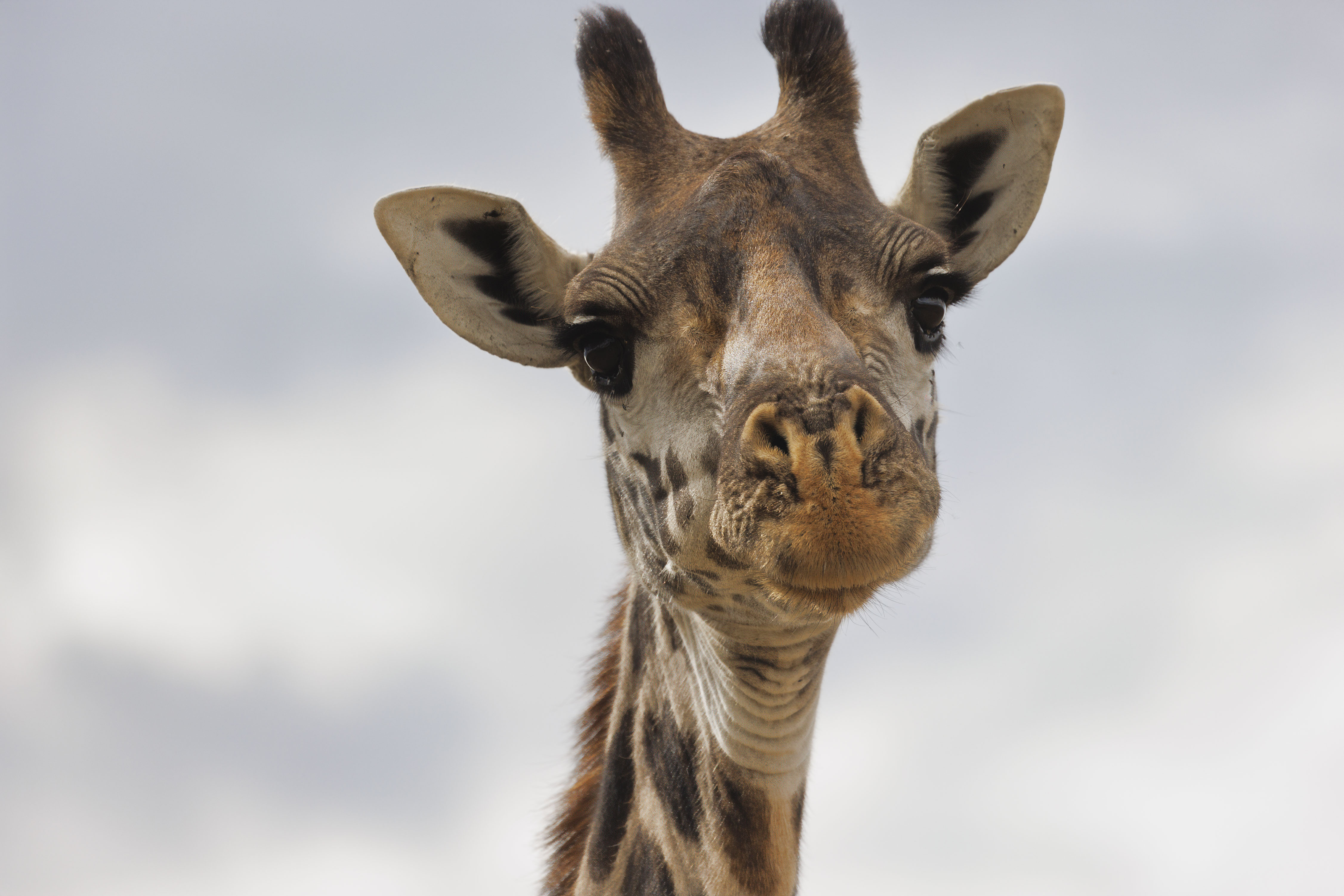 November 12, 2022-153207-Edit-2.jpg